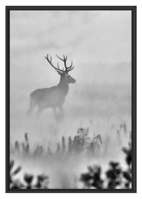 Pixxprint Hirsch im Nebel