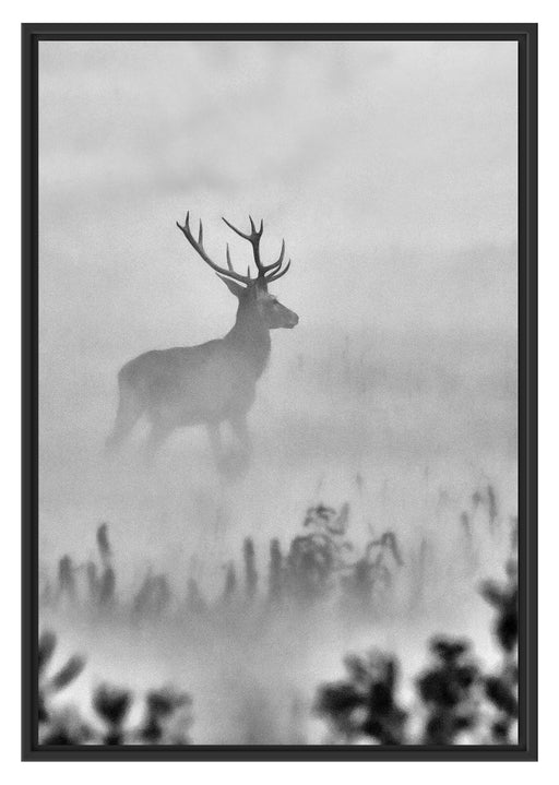 Hirsch im Nebel Schattenfugenrahmen 100x70