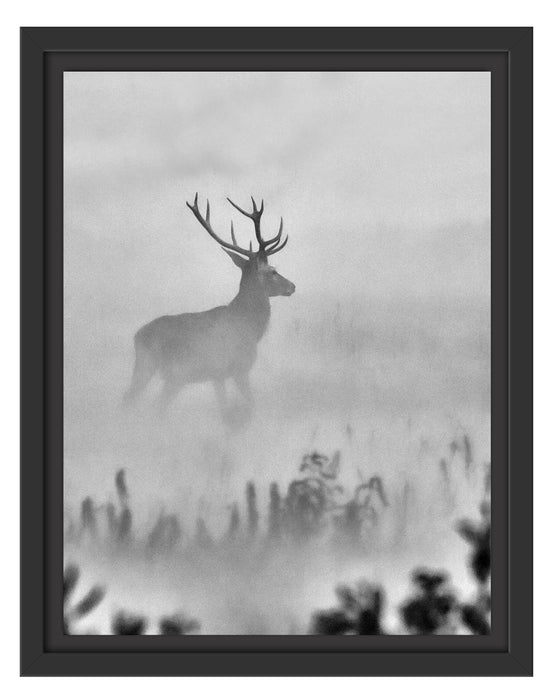 Hirsch im Nebel Schattenfugenrahmen 38x30