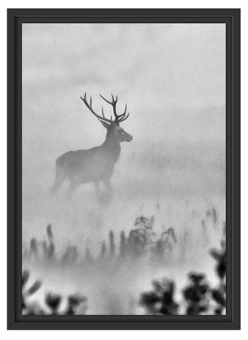 Hirsch im Nebel Schattenfugenrahmen 55x40