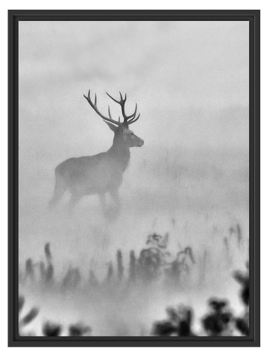 Hirsch im Nebel Schattenfugenrahmen 80x60