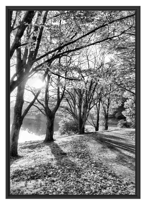 Pixxprint Sonniger Park am See