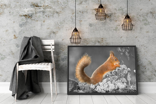 Nagendes Eichhörnchen im Moos Schattenfugenrahmen Wohnzimmer