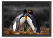 Pinguine in der Antarktis Schattenfugenrahmen 55x40
