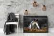 Pinguine in der Antarktis Schattenfugenrahmen Wohnzimmer