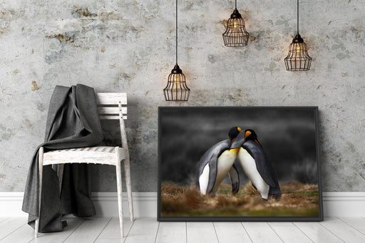 Pinguine in der Antarktis Schattenfugenrahmen Wohnzimmer