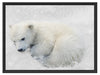 Eisbär im Schnee Schattenfugenrahmen 80x60