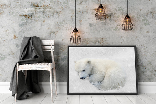 Eisbär im Schnee Schattenfugenrahmen Wohnzimmer