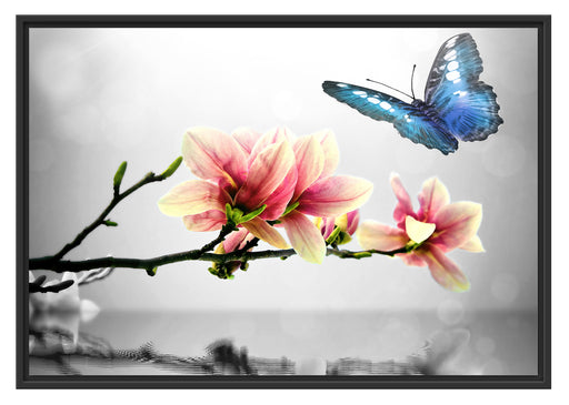 Schmetterling mit Magnolien-Blüte Schattenfugenrahmen 100x70