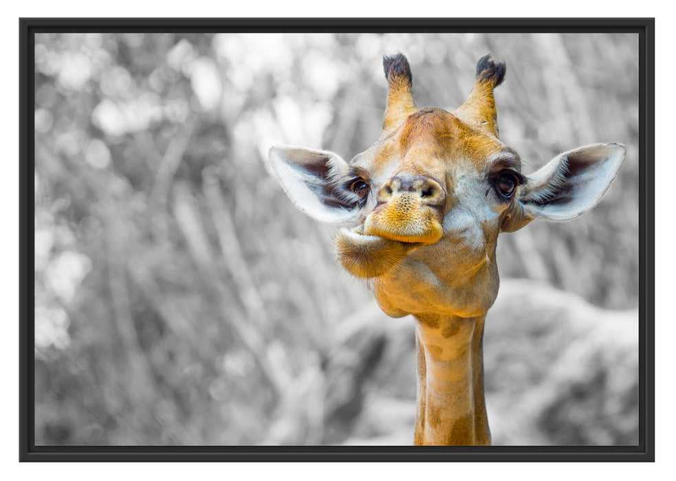 Pixxprint Giraffe in der Natur, im Schwebe-Effekt Bilderrahmen