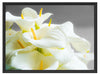 Wunderschöne weiße Calla Lilien Schattenfugenrahmen 80x60