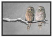 Zwei Eulen in Winterlandschaft Schattenfugenrahmen 100x70