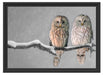 Zwei Eulen in Winterlandschaft Schattenfugenrahmen 55x40