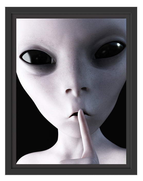 Alien - nicht reden Schattenfugenrahmen 38x30