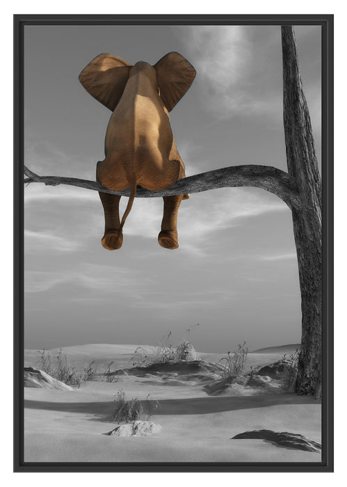 Pixxprint Elefant auf einem Ast in der Wüste, im Schwebe-Effekt Bilderrahmen