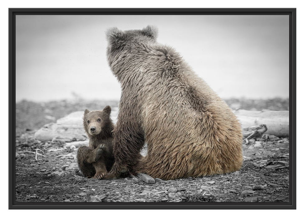 Pixxprint Bär mit Baby nach dem Baden, im Schwebe-Effekt Bilderrahmen