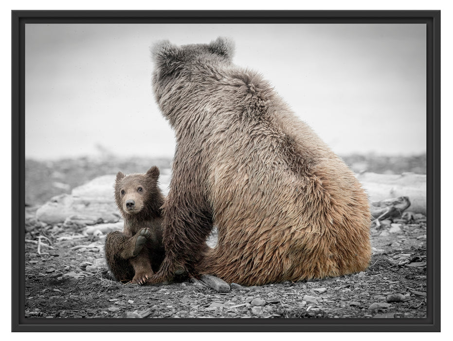 Bär mit Baby nach dem Baden Schattenfugenrahmen 80x60