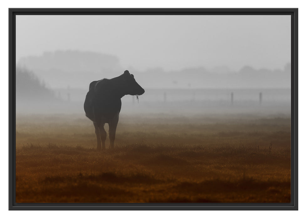 Pixxprint eine fressende Kuh auf der Weide, im Schwebe-Effekt Bilderrahmen