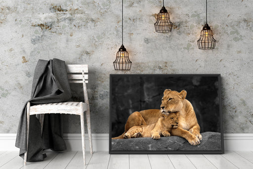 Löwe Löwenjungen Schattenfugenrahmen Wohnzimmer