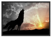 Wolf Heulen Schattenfugenrahmen 100x70