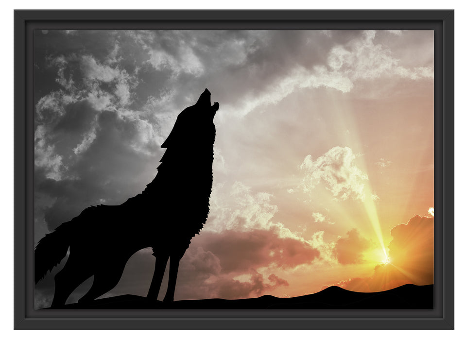 Wolf Heulen Schattenfugenrahmen 55x40