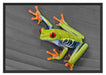 kleiner grüner Frosch auf Blatt Schattenfugenrahmen 100x70