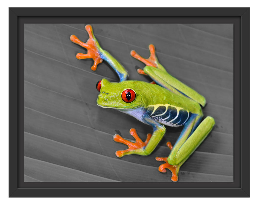 kleiner grüner Frosch auf Blatt Schattenfugenrahmen 38x30