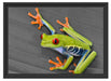 kleiner grüner Frosch auf Blatt Schattenfugenrahmen 55x40