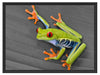 kleiner grüner Frosch auf Blatt Schattenfugenrahmen 80x60