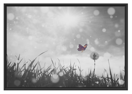Schmetterling fliegt zu Pusteblume Schattenfugenrahmen 100x70