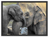 Elefantenmutter mit Kalb Schattenfugenrahmen 80x60