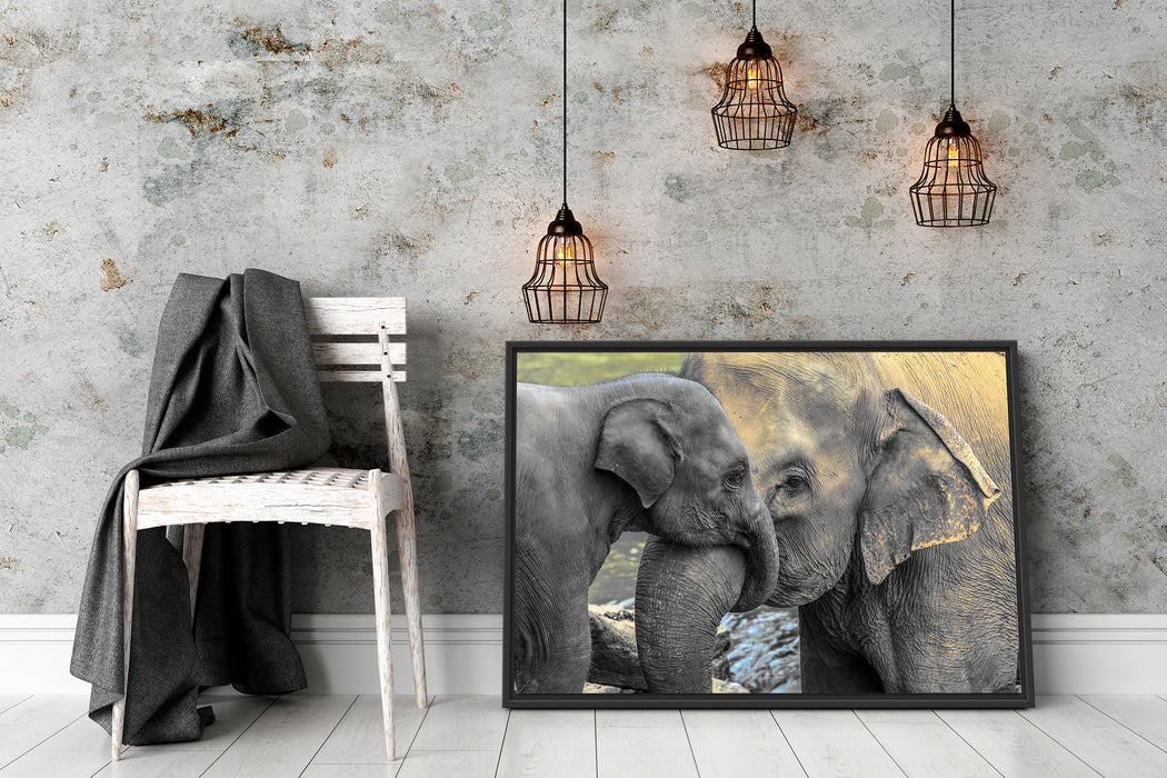 Elefantenmutter mit Kalb Schattenfugenrahmen Wohnzimmer