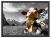 Kuh im Karwendelgebirge Schattenfugenrahmen 80x60