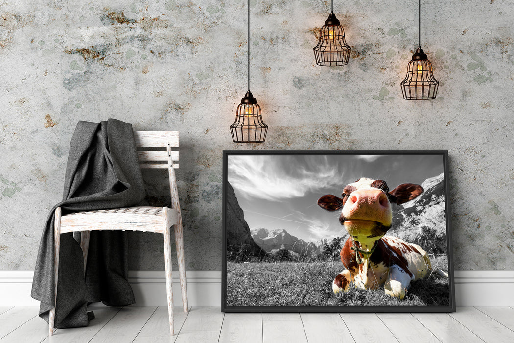 Kuh im Karwendelgebirge Schattenfugenrahmen Wohnzimmer