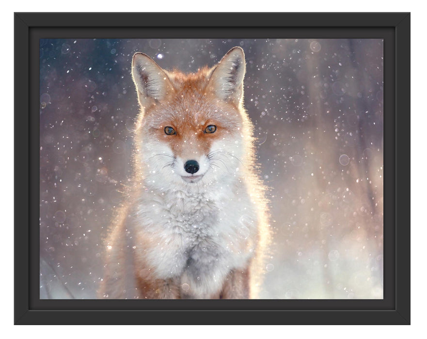 Pixxprint Roter Fuchs im Winter, im Schwebe-Effekt Bilderrahmen