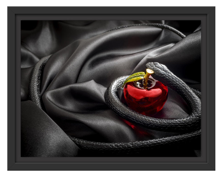 Pixxprint Schwarze Schlange um roten Apfel, im Schwebe-Effekt Bilderrahmen