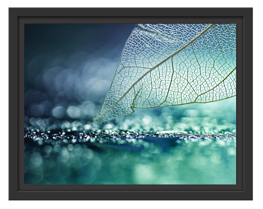 Pixxprint Nahaufnahme weißes Blattgerüst im Regen, im Schwebe-Effekt Bilderrahmen