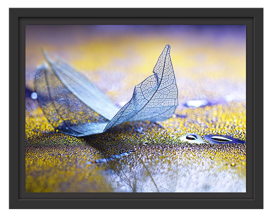 Pixxprint Nahaufnahme blaues Blattgerüst im Regen, im Schwebe-Effekt Bilderrahmen