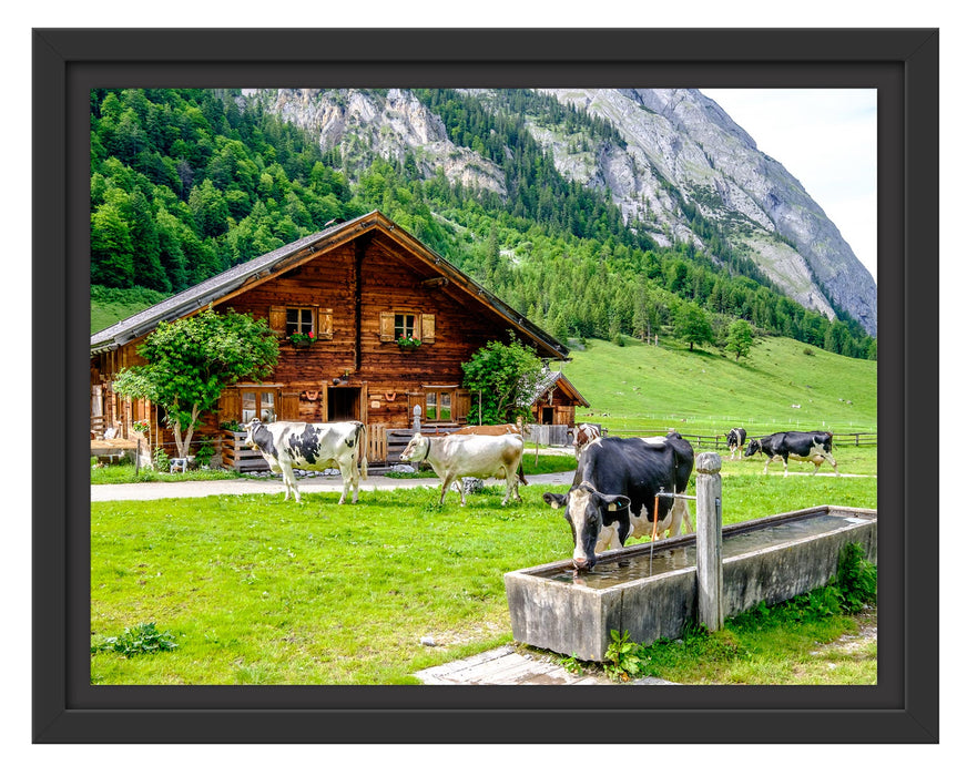 Pixxprint Kühe vor Blochhütte auf Albenweide, im Schwebe-Effekt Bilderrahmen