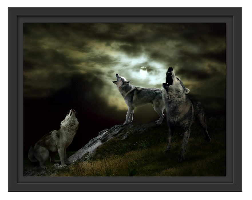 Pixxprint Heulende Wölfe bei Mondschein, im Schwebe-Effekt Bilderrahmen