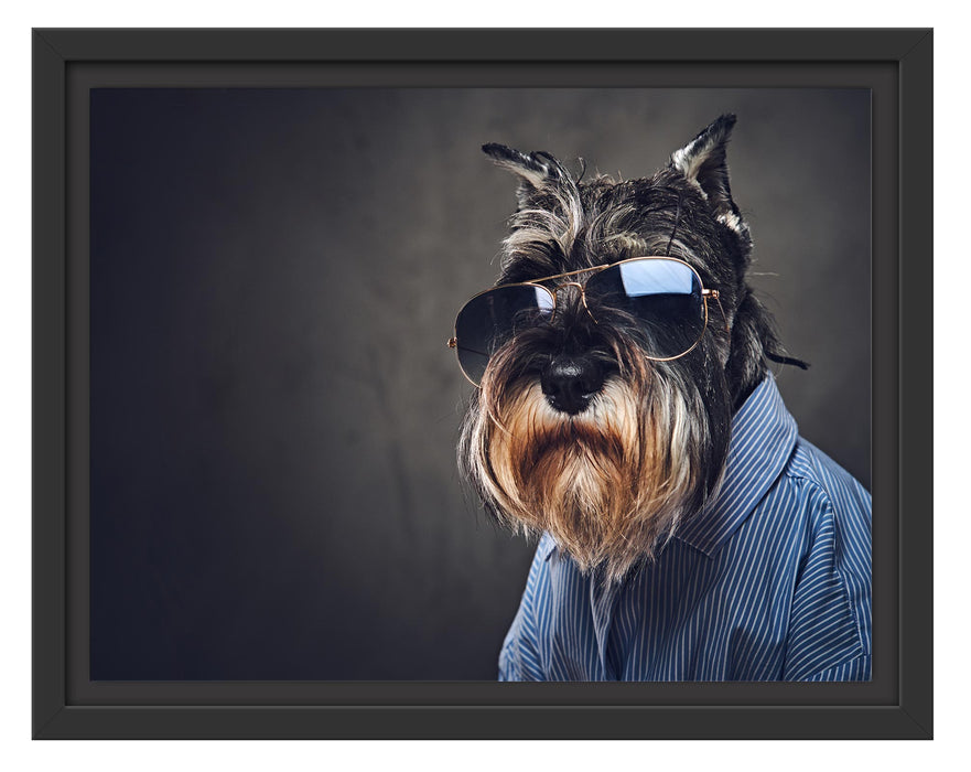 Pixxprint Lustiger Hund mit Hemd und Sonnenbrille, im Schwebe-Effekt Bilderrahmen