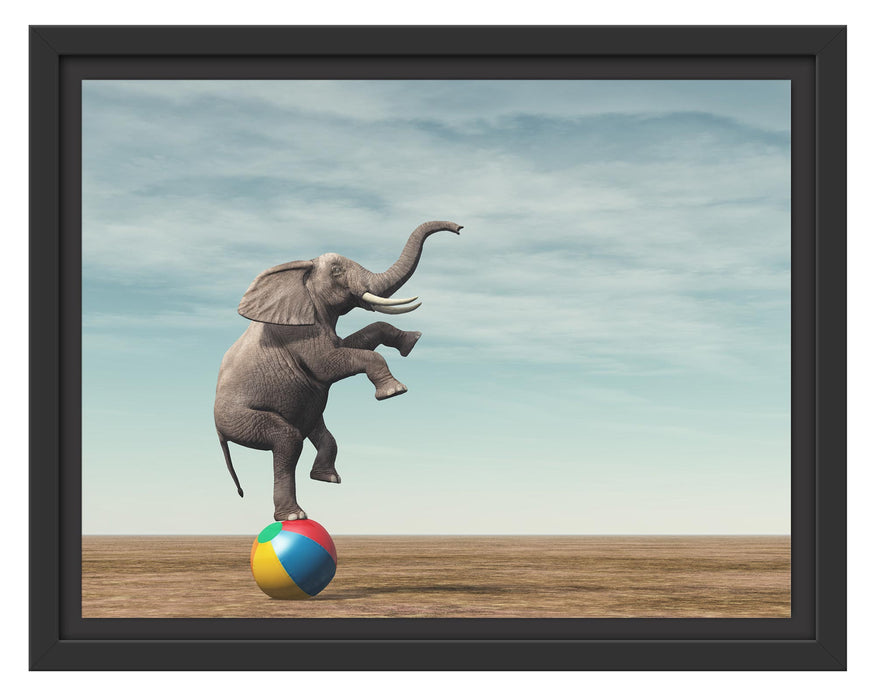 Pixxprint Elefant in der Wüste balanciert auf Ball, im Schwebe-Effekt Bilderrahmen