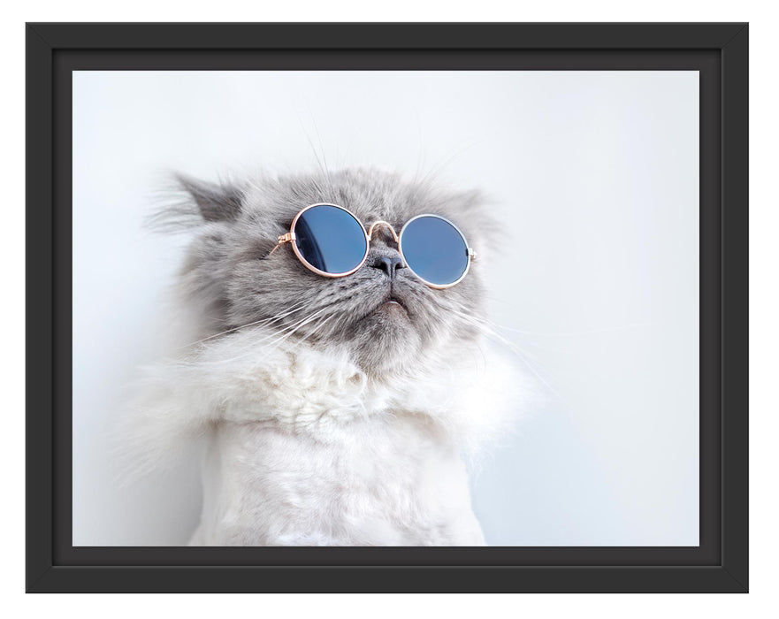 Pixxprint Coole Katze mit runder Sonnenbrille, im Schwebe-Effekt Bilderrahmen