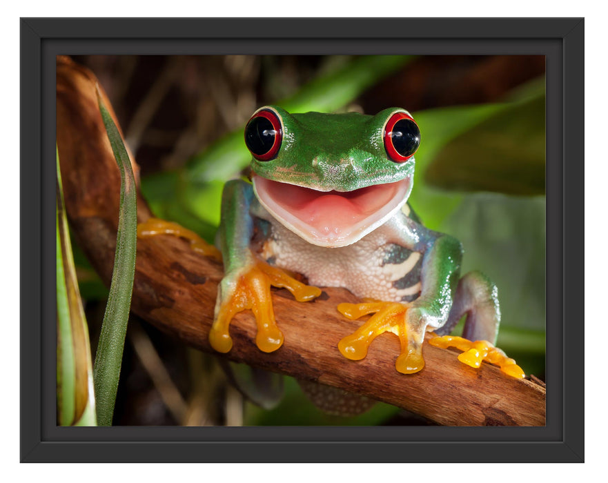 Pixxprint Lachender Frosch mit roten Augen auf Ast, im Schwebe-Effekt Bilderrahmen