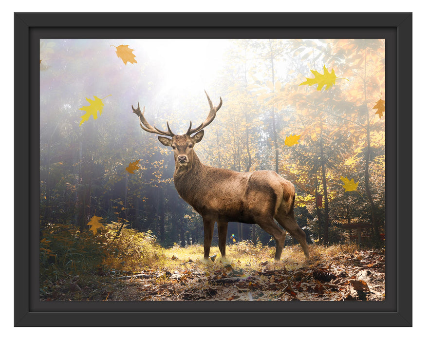 Pixxprint Hirsch im Wald mit fallenden Blättern, im Schwebe-Effekt Bilderrahmen