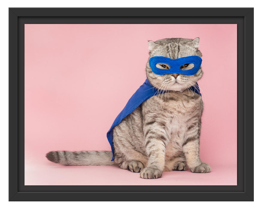 Pixxprint Süße Katze im Superheldenkostüm, im Schwebe-Effekt Bilderrahmen