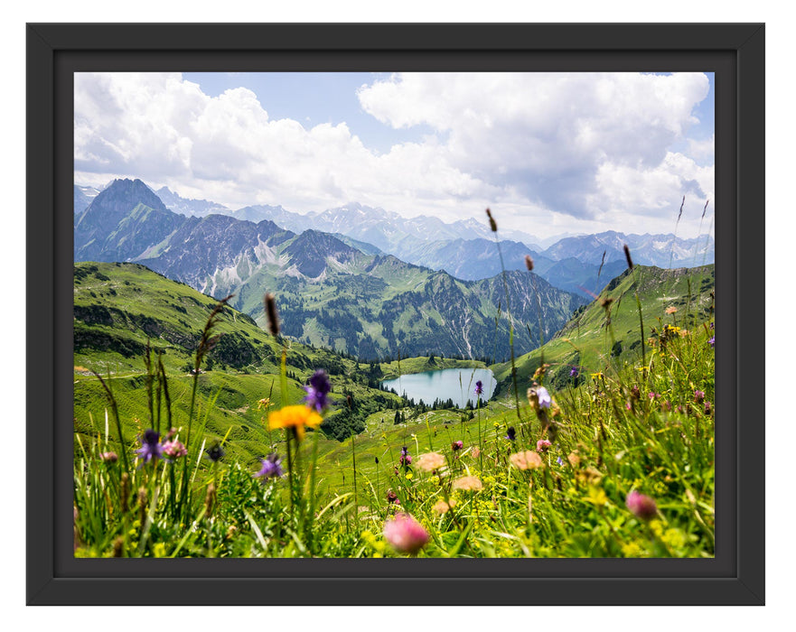 Pixxprint Wiesenblumen in den Bergen, im Schwebe-Effekt Bilderrahmen