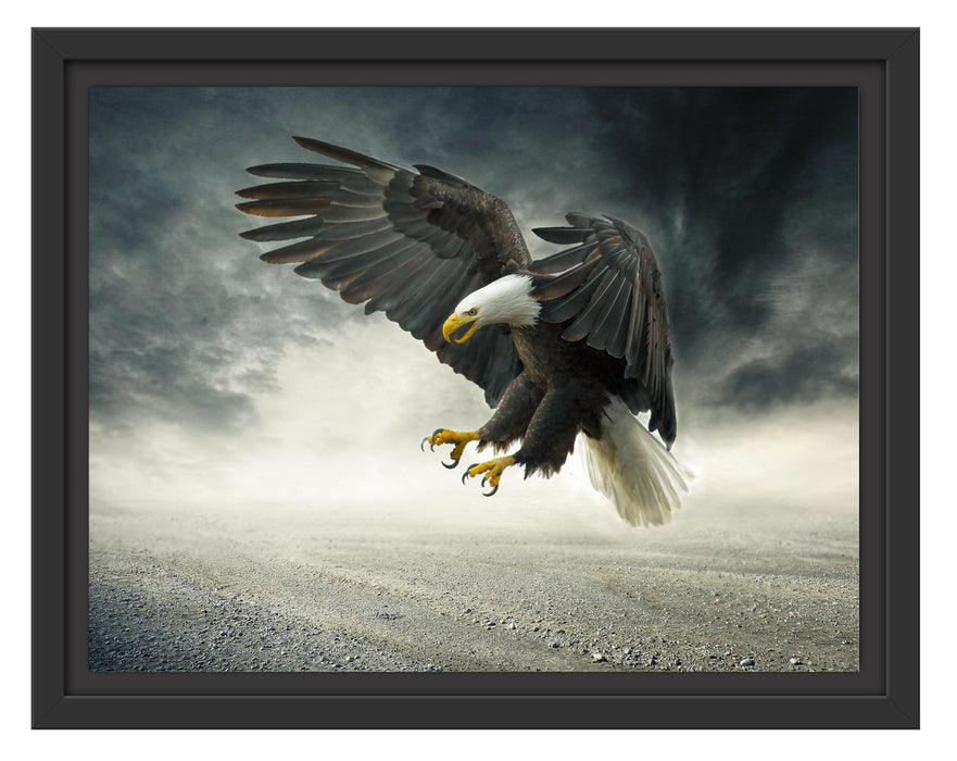 Pixxprint Angreifender Adler in Steinwüste, im Schwebe-Effekt Bilderrahmen