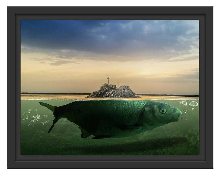 Pixxprint Abstrakter Fisch mit Felsrücken, im Schwebe-Effekt Bilderrahmen