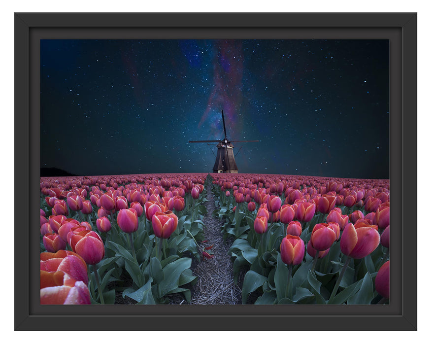 Pixxprint Tulpenfeld mit Windmühle bei Nacht, im Schwebe-Effekt Bilderrahmen